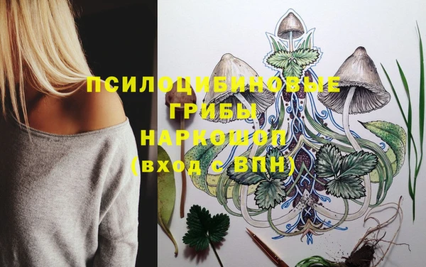 молекула духа Абинск