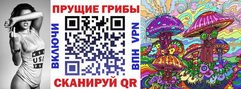 гидра   Болотное  Псилоцибиновые грибы Psilocybine cubensis 